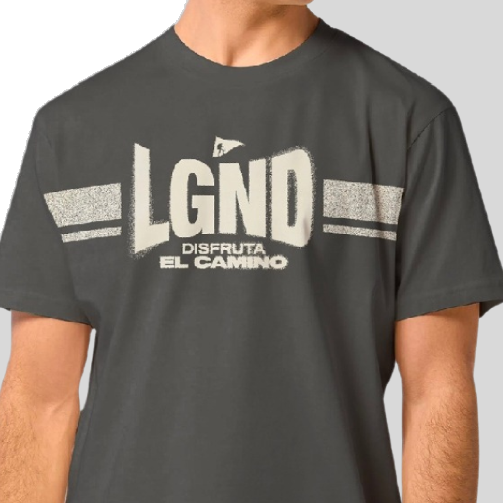 Camiseta Masculina Estampa Desfrute O Caminho Lgnd 