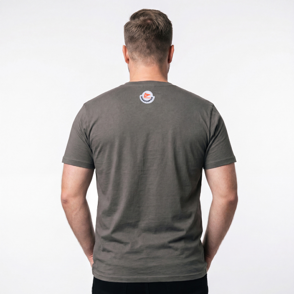 Camiseta Masculina Estampa Desfrute O Caminho Lgnd -Chumbo