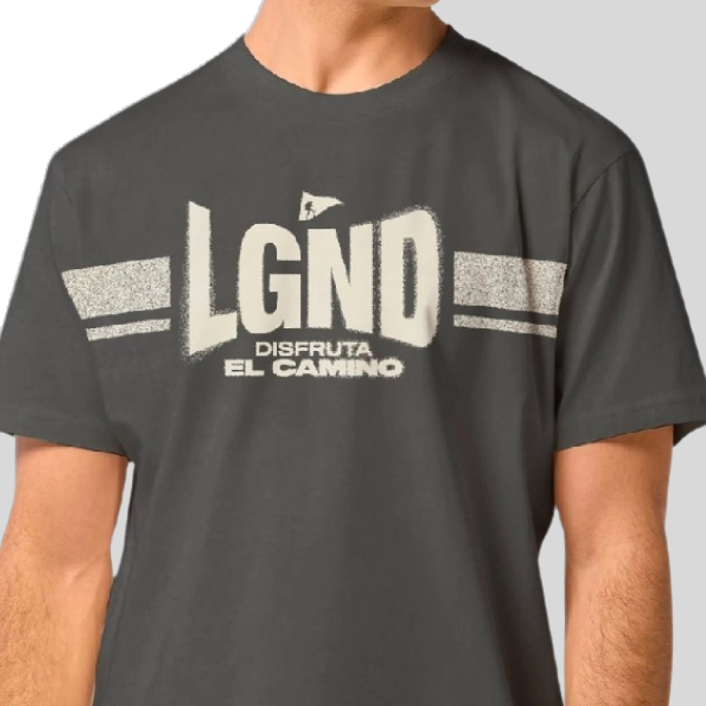 Camiseta Masculina Estampa Desfrute O Caminho Lgnd 